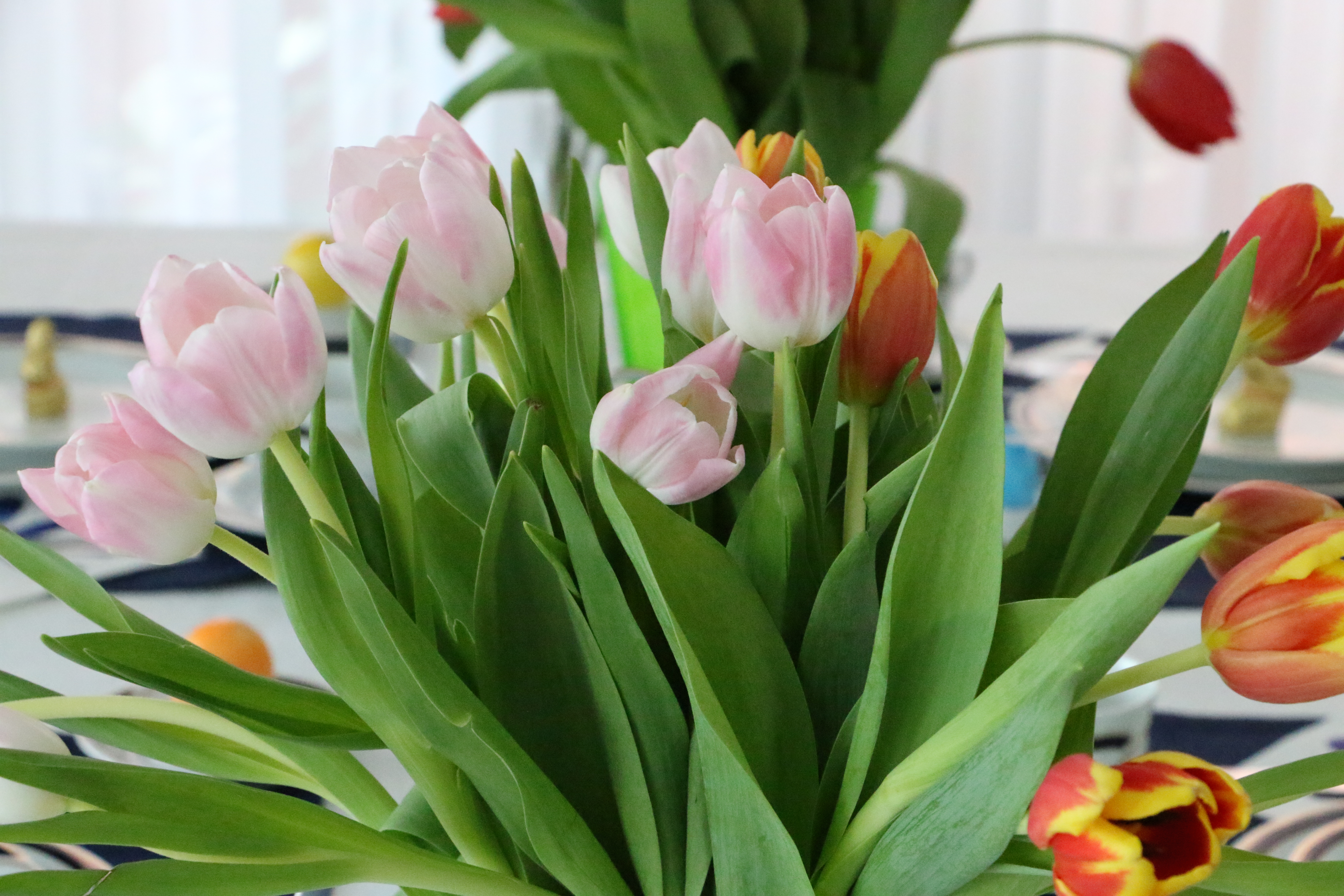 Ostern steht vor der Tür…